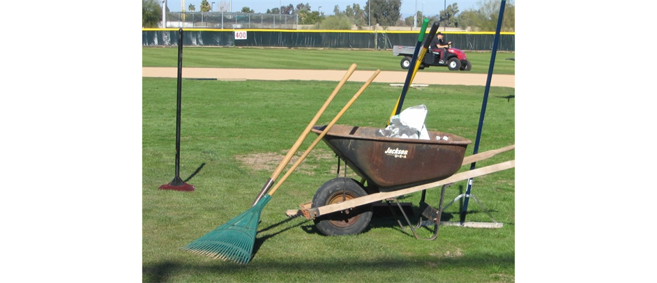Fall Field Day