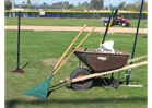 Fall Field Day